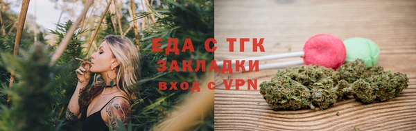 индика Балахна