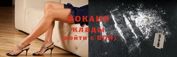 индика Балахна