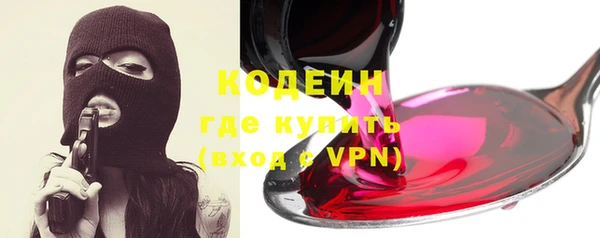 индика Балахна