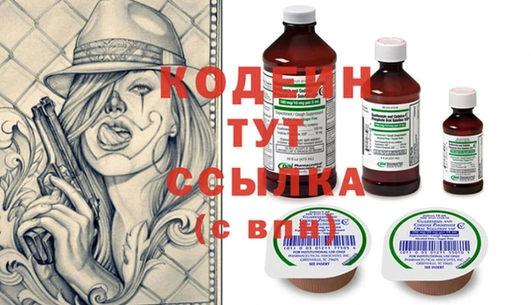 индика Балахна