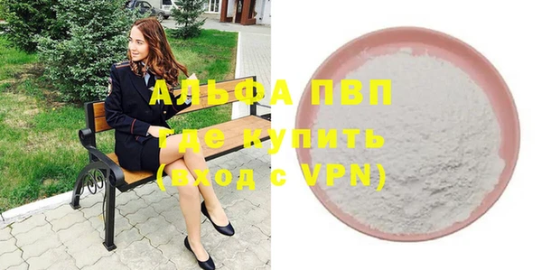 индика Балахна
